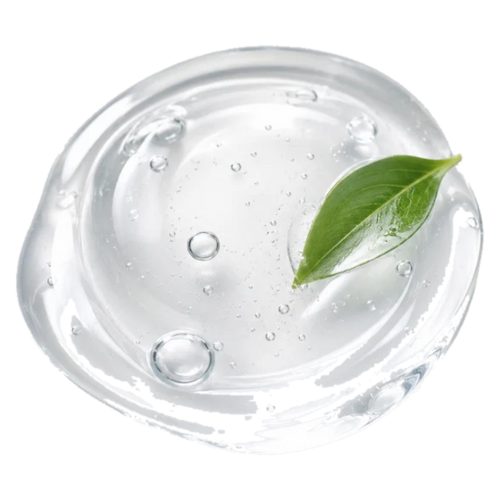 Extracto de té verde